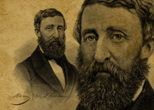 Scopri di più sull'articolo 20 curiosità su Henry David Thoreau