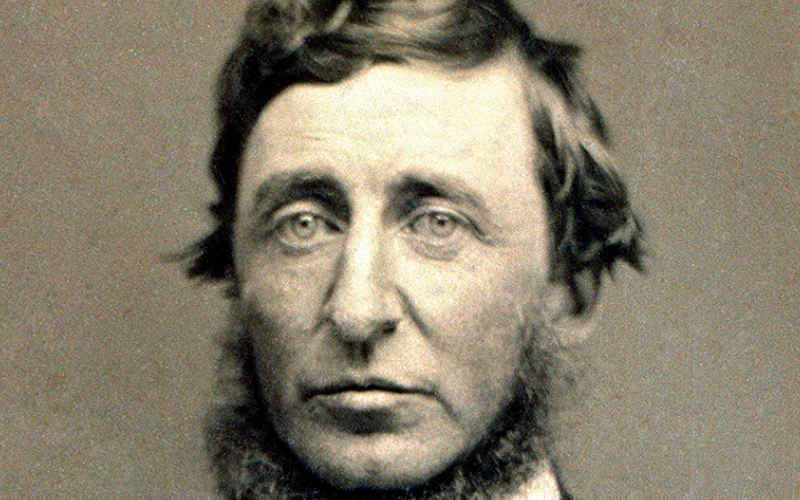 Scopri di più sull'articolo Individualismo e rapporto con la natura in Thoreau